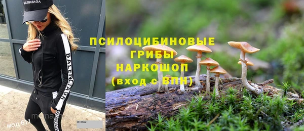 spice Беломорск