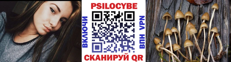 Псилоцибиновые грибы Psilocybe  Шенкурск 